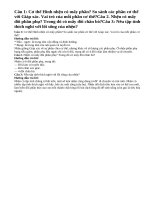 Bài 1, 2, 3 trang 85 sgk sinh học 7