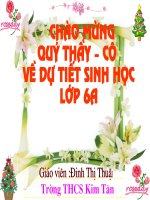 Bài 12 thực hành quan sát biến dạng của rễ   bài giảng sinh học lớp 6 thao giảng tham khảo (1) 