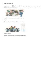 Bài 4 trang 36 sgk toán 9 tập 2