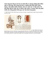 Lý thuyết đặc điểm chung của ngành giun dẹp