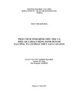 phân tích tình hình tiêu thụ và hiệu quả hoạt động kinh doanh tại công ty cổ phần thủy sản cafatex