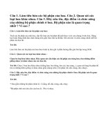 Bài 1, 2, 3 trang 95 SGK Sinh 6