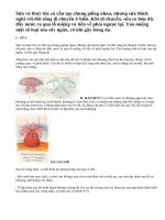 Lý thuyết đa dạng của ngành ruột khoang