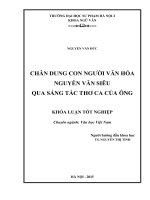 Chân dung con người văn hóa nguyễn văn siêu qua sáng tác thơ ca của ông