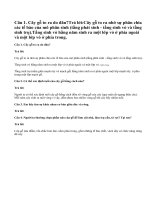 Bài 1, 2, 3, 4 trang 52 SGK Sinh 6