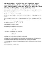 Lý Thuyết Phép Đối Xứng Trục