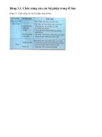 Chức năng của các bộ phận trong tế bào