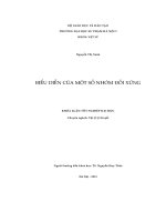 Khoá luận tốt nghiệp biểu diễn của một số nhóm đối xứng