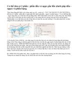 Lý thuyết tôm sông