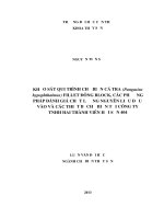 khảo sát qui trình chế biến cá tra (pangasius hypophthalmus) fillet đông block, các phương pháp đánh giá chất lượng nguyên liệu đầu vào và các thiết bị chế biến tại công ty tnhh hai thành viên hải sản 404