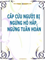 Hướng Dẫn Cấp Cứu Người Bị Ngừng Hô Hấp Ngừng Tuần Hoàn