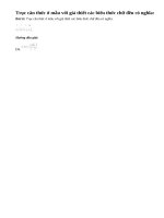 Bài 52 trang 30 sgk toán 9 - tập 1