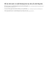 Lý thuyết sự hút nước và muối khoáng (tiếp theo)