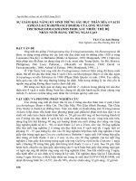 SỰGIẢM KHẢNĂNG ký SINH TRỨNG sâu đục THÂN mía 4 VẠCH CHILO SACCHARIPHAGUS BOJER của ONG mắt đỏ TRICHOGRAMMACHILOMIS ISHII, SAU NHIỀU THẾHỆ NHÂN NUÔI BẰNG TRỨNG NGÀI gạo