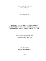 khảo sát ảnh hưởng của nồng độ muối tẩm ướp đến chất lượng cá tra (pangasianodon hypophthalmus) fillet trong bảo quản lạnh