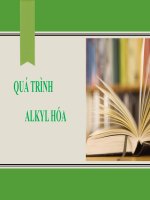 Tiểu luận thiết bị nhà máy lọc dầu:  quá trình alkyl hóa