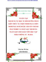 TUYỂN TẬP  NỘI DUNG TỰ HỌC TỰ BỒI DƯỠNG PHẦN KIẾN THỨC TỰ CHỌN MODUNLE 41 ĐẾN MODUNLE 45 ĐÃ ĐƯỢC CHUYỂN THÀNH FILE WORD VÀ CHẮT LỌC NỘI DUNG NGẮN GỌN CHO GIÁO VIÊN HỌC TẬP THEO THÔNG TƯ  302014