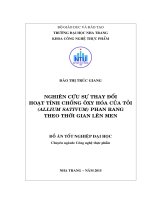 Nghiên cứu sự thay đổi hoạt tính chống oxy hóa của tỏi (allium sativum) phan rang theo thời gian lên men