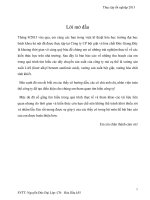 Báo cáo thực tập Bột giặt Đức Giang