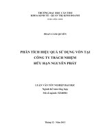phân tích hiệu quả sử dụng vốn tại  công ty trách nhiệm hữu hạn nguyễn phát