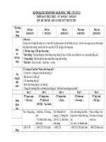 Giáo án mẫu giáo 4t chủ đề 01: Nhánh Trung Thu