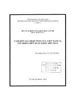 Cam kết gia nhập WTO của việt nam và tác động đến xuất khẩu dệt may removed 