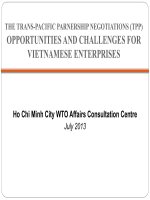 TPP opportunities and challenges for vietnamese enterprises EN