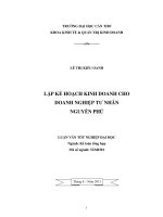 lập kế hoạch kinh doanh cho doanh nghiệp tư nhân nguyễn phú