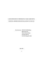 PTA potential opportunities or challenges to vietnam