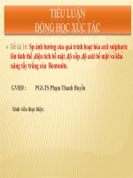 Tiểu luận động học xúc tác: Ảnh hưởng của quá trình hoạt hóa axit H2SO4 lên bentonite