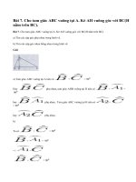 Bài 7 trang 109 - Sách giáo khoa toán 7 tập 1