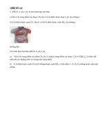 Bài 2 trang 96 sgk toán lớp 8 - tập 2