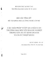 Các giải pháp vượt qua rào cản thương mại đối với doanh nghiệp trong sản xuất kinh doanh và xuất nhập khẩu_removed