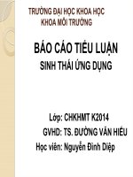 báo cáo tiểu luận sinh thái ứng dụng