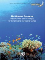The oceans economy Opportunities and Challenges for Small Island Developing States