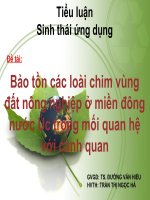 Bảo tồn các loài chim vùng đất nông nghiệp ở miền đông nước Úc trong mối quan hệ với cảnh quan