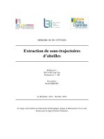 Extraction de sous trajectoires d’abeilles  luận văn ths công nghệ thông tin