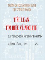 Tiểu luận động học xúc tác: Tính chất và xu hướng tương lai của zeolit