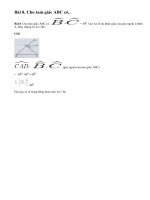 Bài 8 trang 109 - Sách giáo khoa toán 7 tập 1