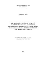 xác định thành phần loài và một số đặc điểm sinh học của cá bống cát glossogobius giuris hamilton, 1822 và cá bống trứng eleotris melanosoma bleeker, 1853 phân bố ở huyện châu thành, tỉnh hậu giang