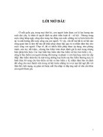 TIỂU LUẬN THỰC TRẠNG bảo HIỂM NHÂN THỌ ở VIỆT NAM