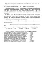 các bài tiểu luận tiếng anh 