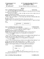 Download đề và đáp án thi học sinh giỏi lớp 12 môn tin học 2008 2009 tỉnh quảng bình (vòng 1) 