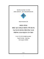 phân tích hiệu quả hoạt động tín dụng tại ngân hàng phương nam phòng giao dịch cần thơ