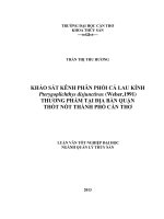 khảo sát kênh phân phối cá lau kính pterygoplichthys disjunctivus (weber,1991) thương phẩm tại địa bàn quận thốt nốt thành phố cần thơ