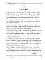 TIỂU LUẬN bố TRÍ NGUỒN NHÂN lực