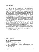 Download sáng kiến kinh nghiệm trong dạy học toán phương pháp hàm số để giải phương trình mũ và loggarit 