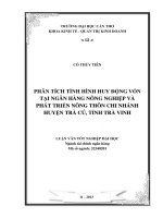 phân tích tình hình huy động vốn tại ngân hàng nông nghiệp và phát triển nông thôn chi nhánh huyện trà cú, tỉnh trà vinh