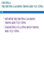 THỊ TRƯỜNG LAO ĐỘNG TRONG KHU VỰC CÔNG  Chương 5 Kinh tế học lao động