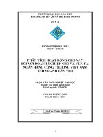 phân tích hoạt động cho vay đối với doanh nghiệp nhỏ và vừa tại ngân hàng công thương việt nam chi nhánh cần thơ